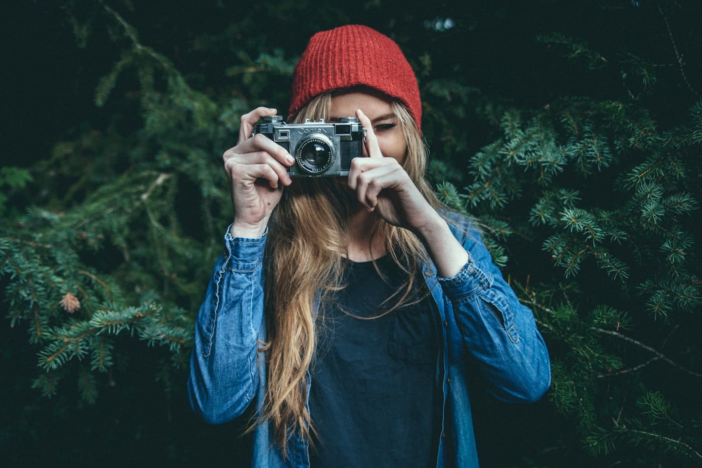Photographing a yard with a camera