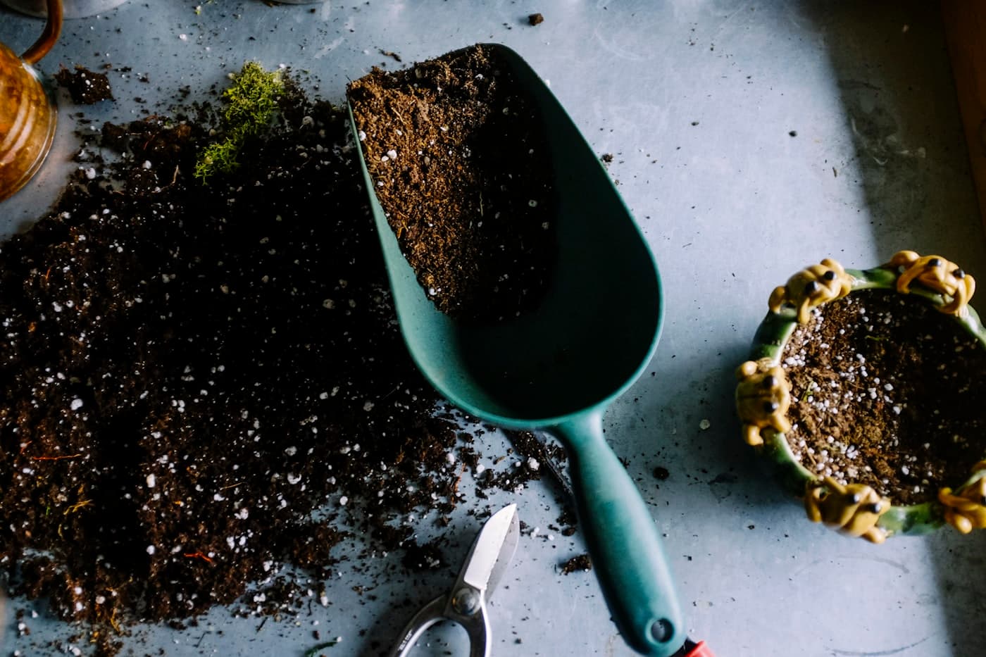 Garden tools laid out on soil